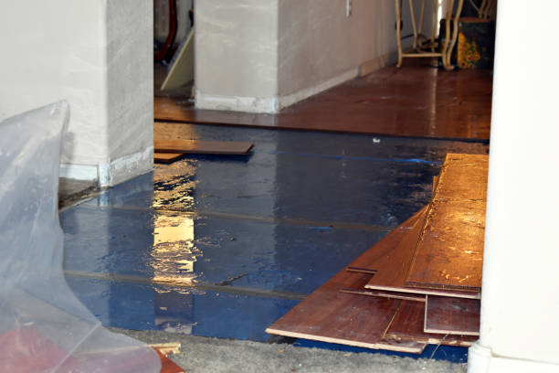 Professional Sewage Cleanup technician working in Van Dyne, WI